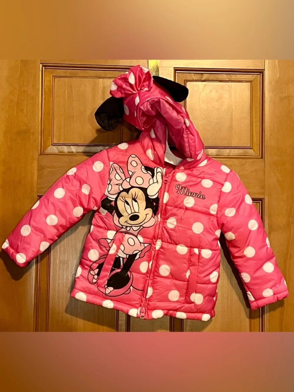 Disney Minnie Mouse Coat and Snow Pants Set